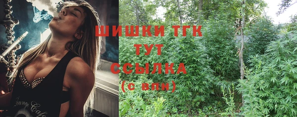 spice Пестово