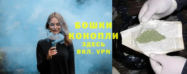 spice Пестово