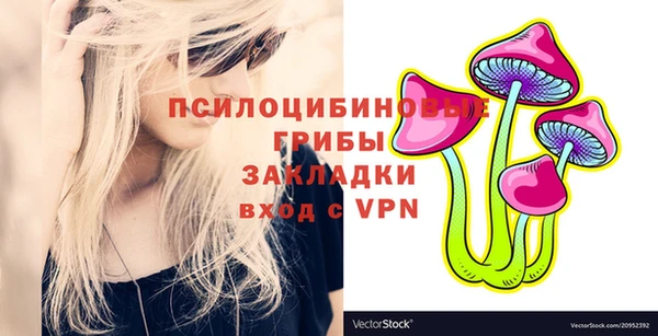 mdpv Арсеньев