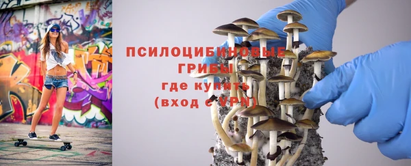 mdpv Арсеньев