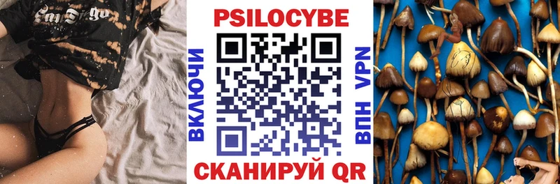 Псилоцибиновые грибы GOLDEN TEACHER  Кизел 
